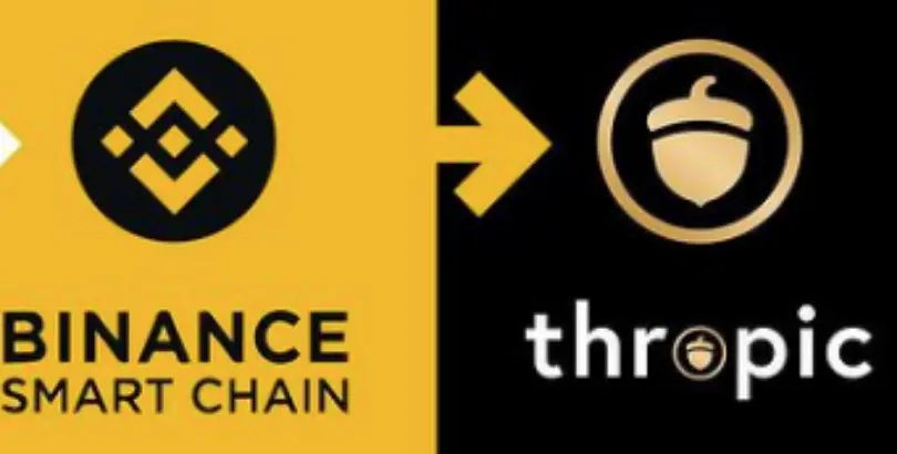How to Buy Thropic Coin