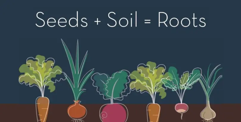 Seeds Soil Roots Campaign