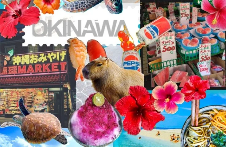 JAPAN GROUP 🇯🇵✨ OKINAWA + TOKYO | Sept 3-10th 2026