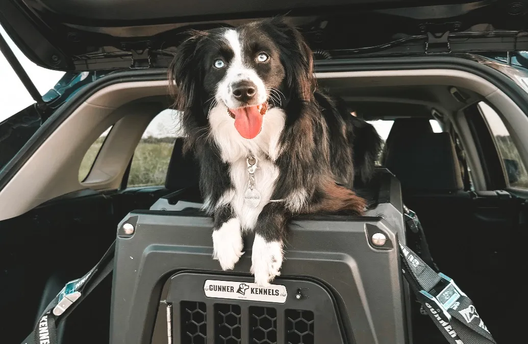 Gunner Kennels - Affiliate Link