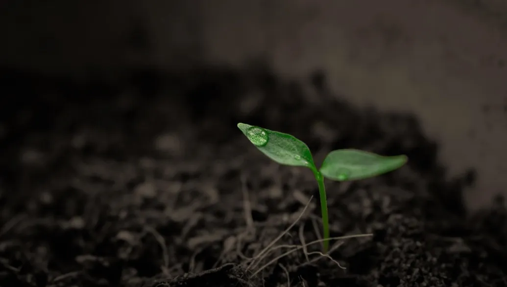 SAVE SOIL