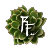 Return to flow - Sonja