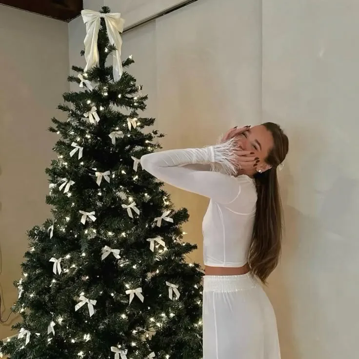 Amazon.ca Christmas Decor