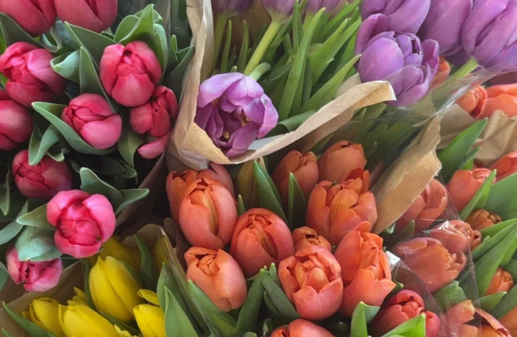 pinterest 🌷🌷