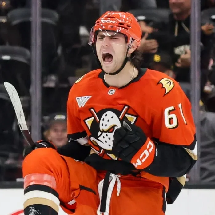 ANAHIEM DUCKS 🦆