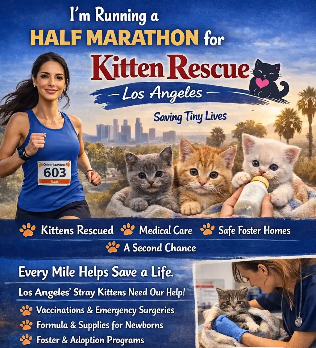 Kitten Rescue LA - Running 13.1 miles to save tiny lives 🐾💛 Support Kitten Rescue LA & help kittens thrive.