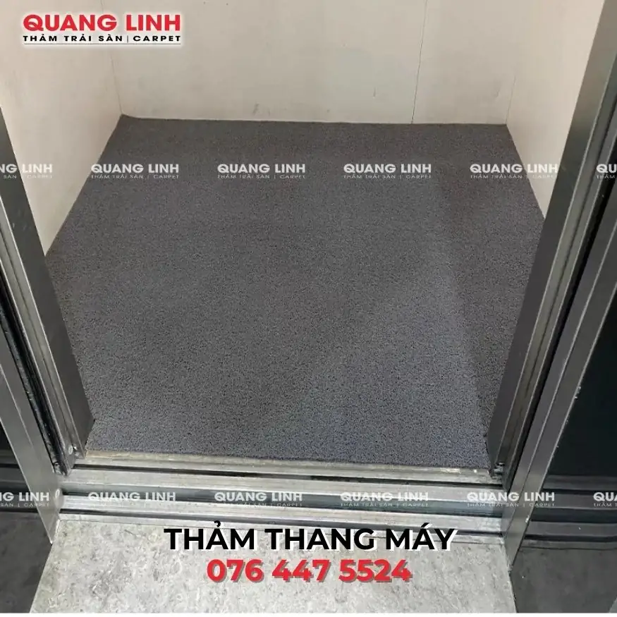 https://thamtraisanquanglinh.com/tham-trai-san/tham-trai-san-thang-may-nhua-roi-ma-ql850/