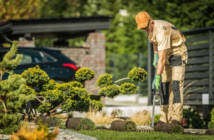 Garden Maintenance in sydney