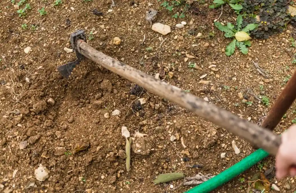 Expert Mulching Services for Healthy Gardens 