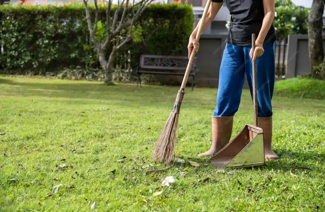 Lawn Mowing Service in Sydney