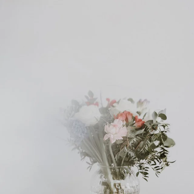 [Music] rebloom - meihuwhat