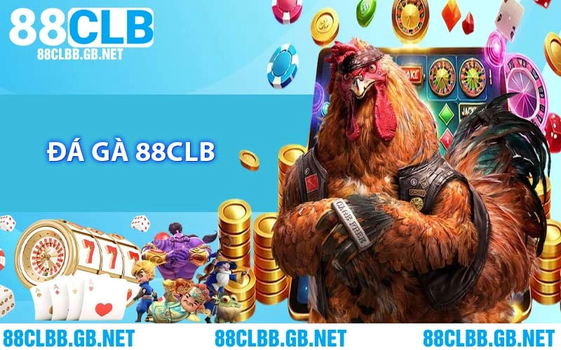 Đá Gà 88CLB - Mang Đến Những Màn So Tài Đá Gà Đỉnh Cao