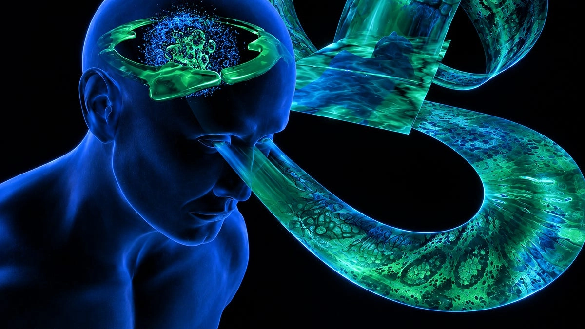 Are we filtering out reality?