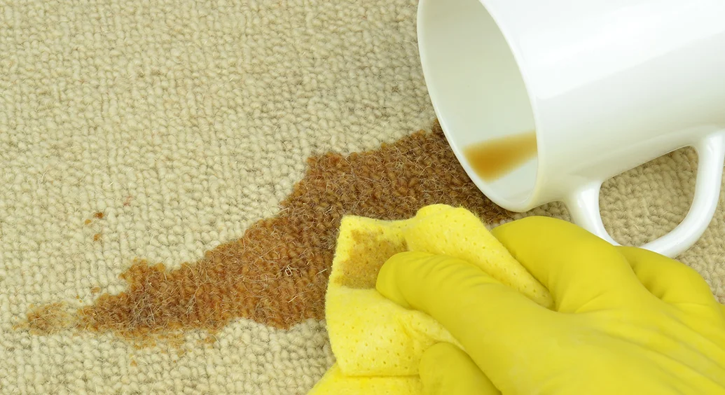 Fresh 'N' Green Low-Moisture Carpet Cleaning | Spot and Stain Removal