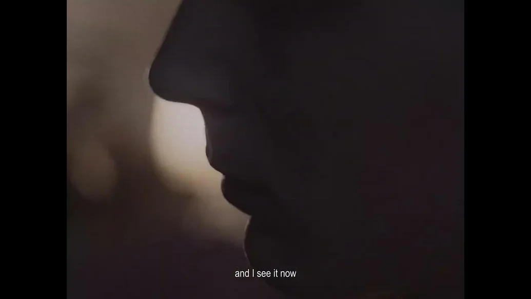 This was supposed to be my last video
