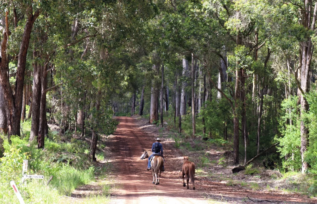 Warren Blackwood Stock Route