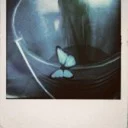 Tumblr