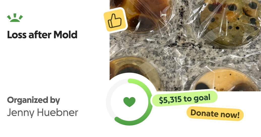Donate to Loss after Mold, organized by Jenny Huebner