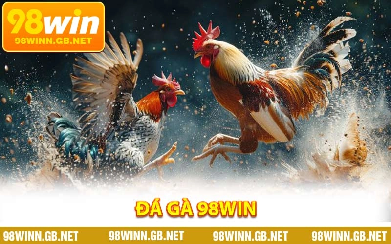 Đá Gà 98WIN - Điểm Đến Hàng Đầu Cho Người Yêu Gà Chiến