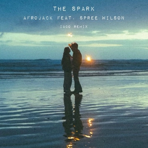 The spark - Afrojack feat. Spree Wilson ( Iaco remix )