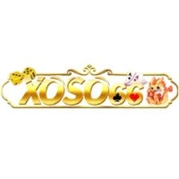 XOSO66 (@itsconferencein) on X