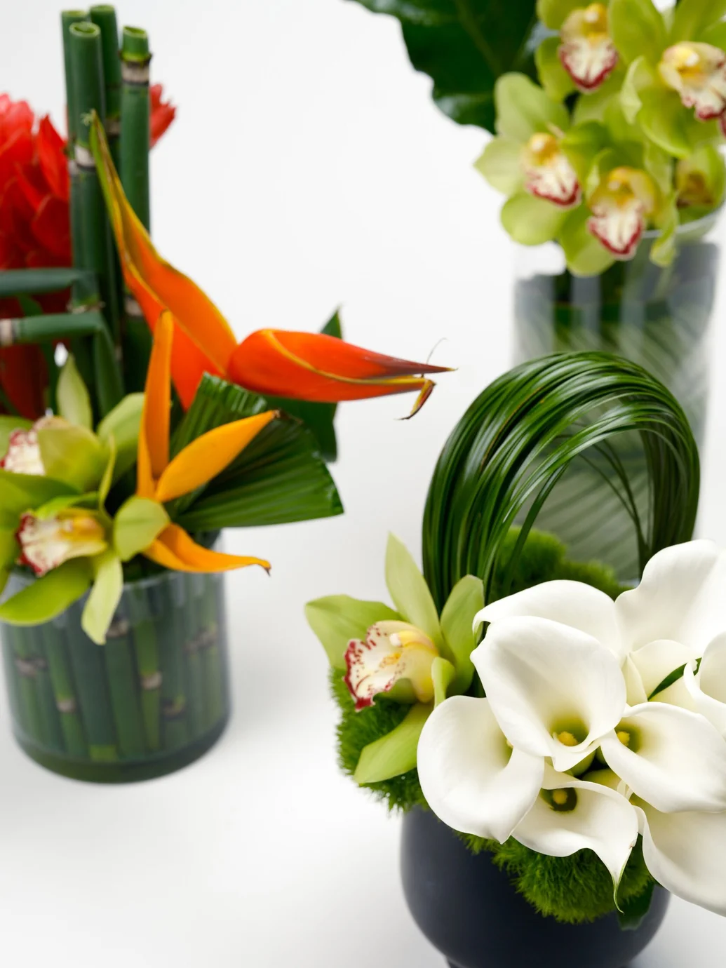 Shop Luxury Flowers & Bouquets Online | XO Bloom