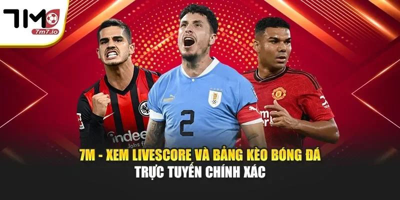 7M – Tỷ Số Bóng Đá Trực Tuyến Hôm Nay | Livescore Nhanh 24/7