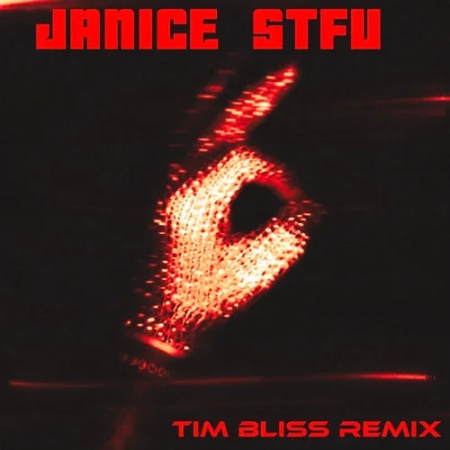 Drake - Janice STFU (Tim Bliss Remix)