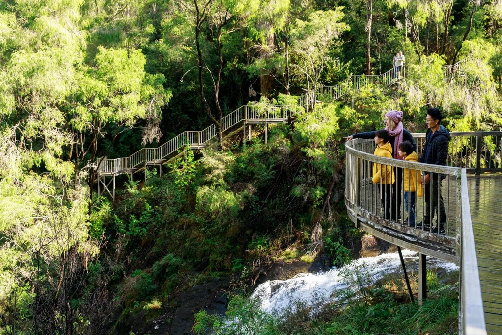 Exploring the Majestic Waterfalls of the Southern Forests & Valleys