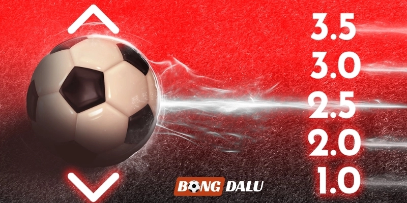 Bongdalu - Tỷ Số Trực Tuyến, Kết Quả & Kèo Bóng Đá Số 1