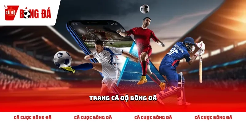 Trang Cá Độ Bóng Đá Uy Tín - Cập Nhật Tỷ Lệ Kèo Nhà Cái Mới Nhất
