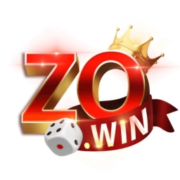 Zowin Playcom