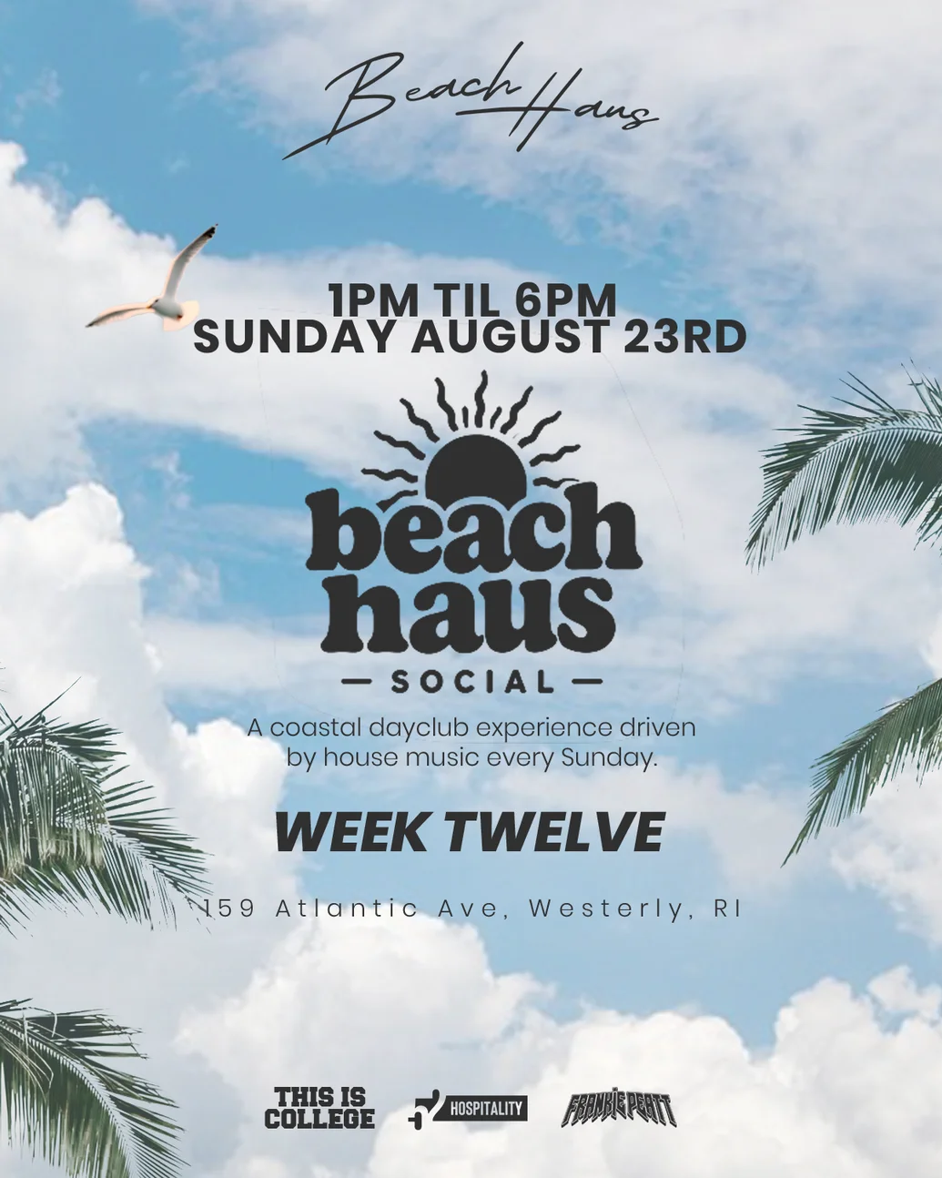 BEACH HAUS SOCIAL WEEK 12 | 08/23