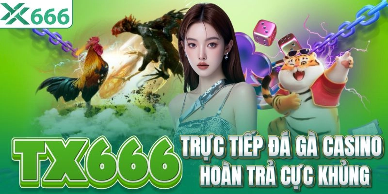 TX666 Pn - Độc Quyền Đá Gà Xà Xía Hà Tiên | Đăng Ký +8888k