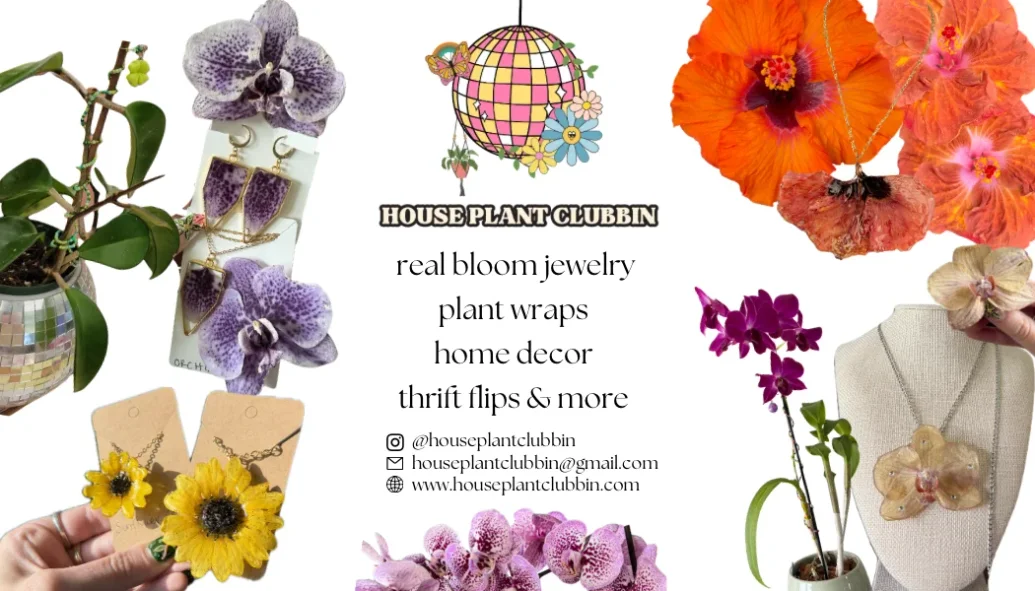 Shop for u & ur houseplants 🪩🪴✨