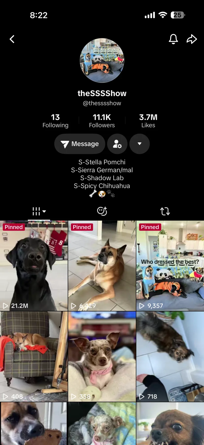 Follow our dogs on TikTok
