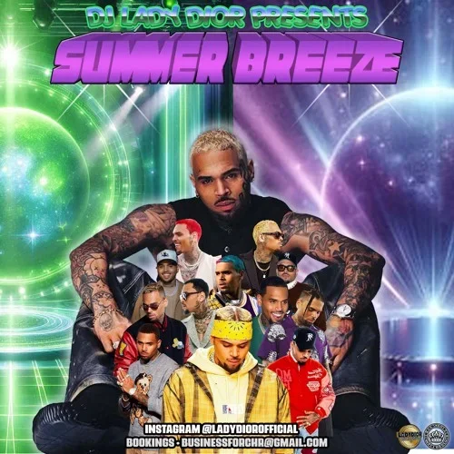 Chris Brown Mixtape Series (Vol 1 & 2)