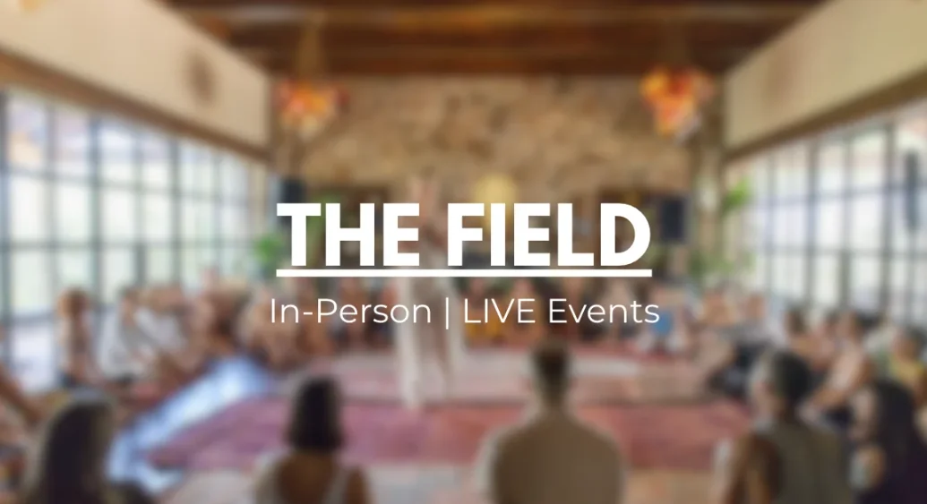 Events | The Field: Live Immersions & Retreats