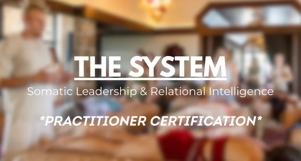 The System | Somatic & Relational Intelligence Practitioner Certification (For coaches, practitioners, &  facilitators)