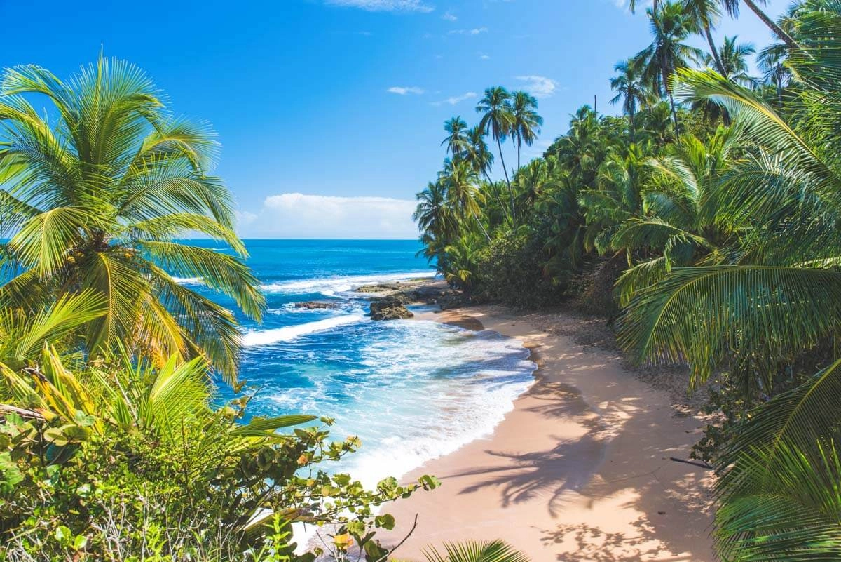 ROYA 🌹 Costa Rica | Vancouver, BC | Retreats & Medicine Ceremonies