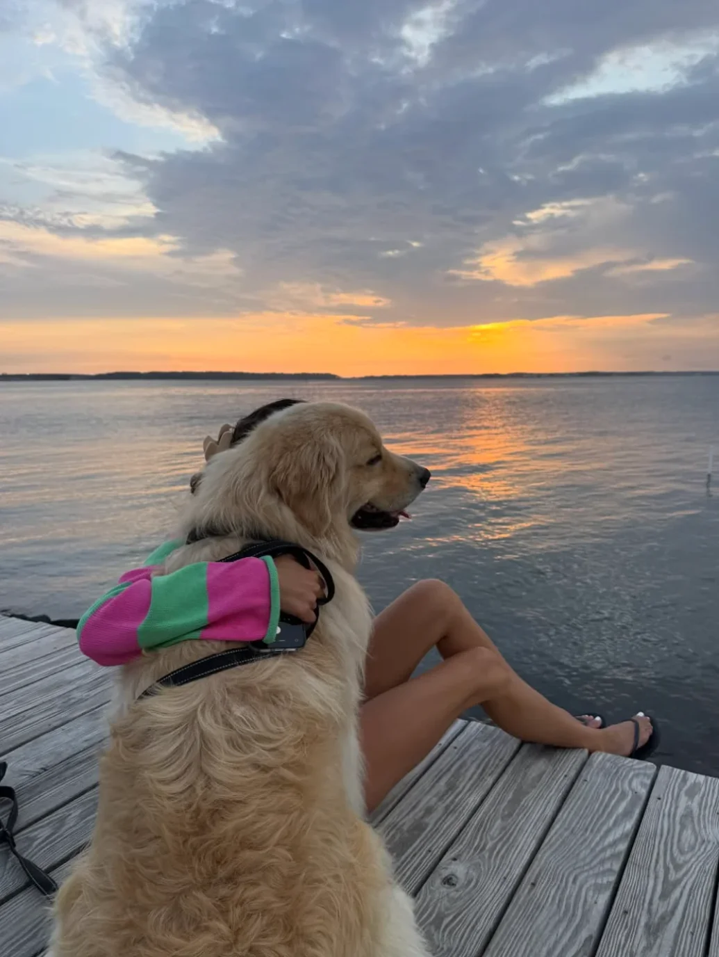 DUKE THE GOLDEN 