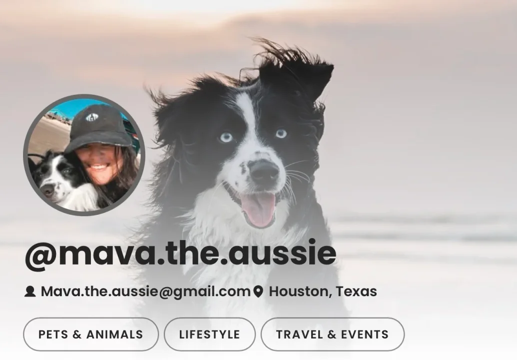 Media Kit