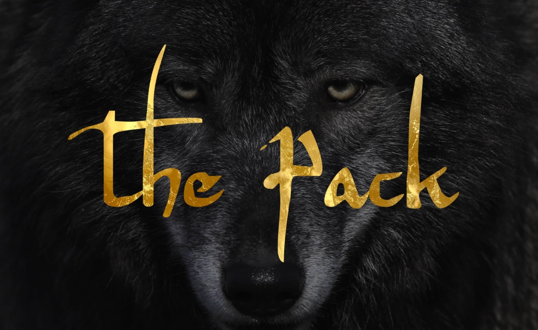 WHERE WILD WOMEN COME TO LIVE A WHOLE + WEALTHY LIFE
