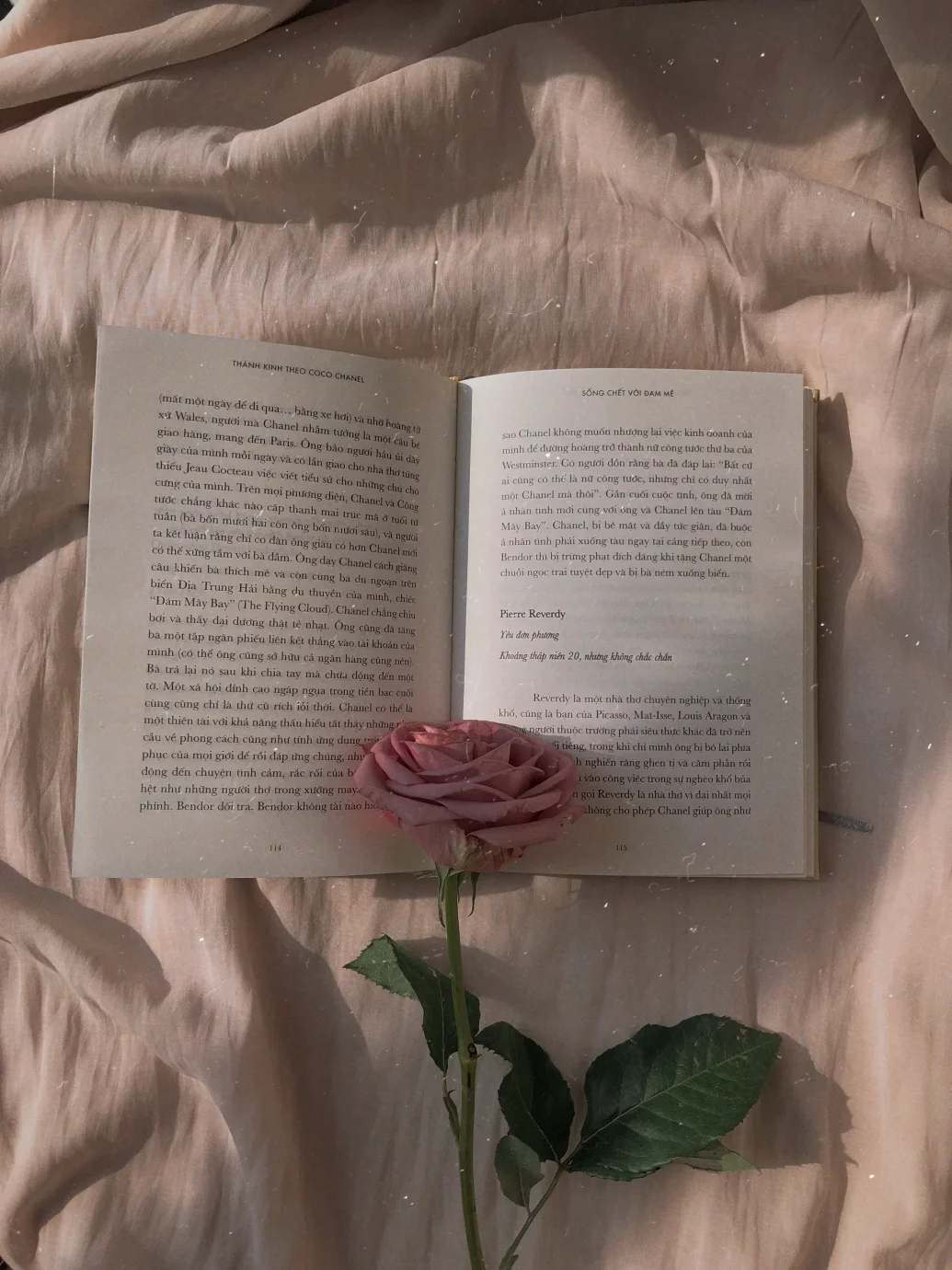 Add a book to my library .ೀ