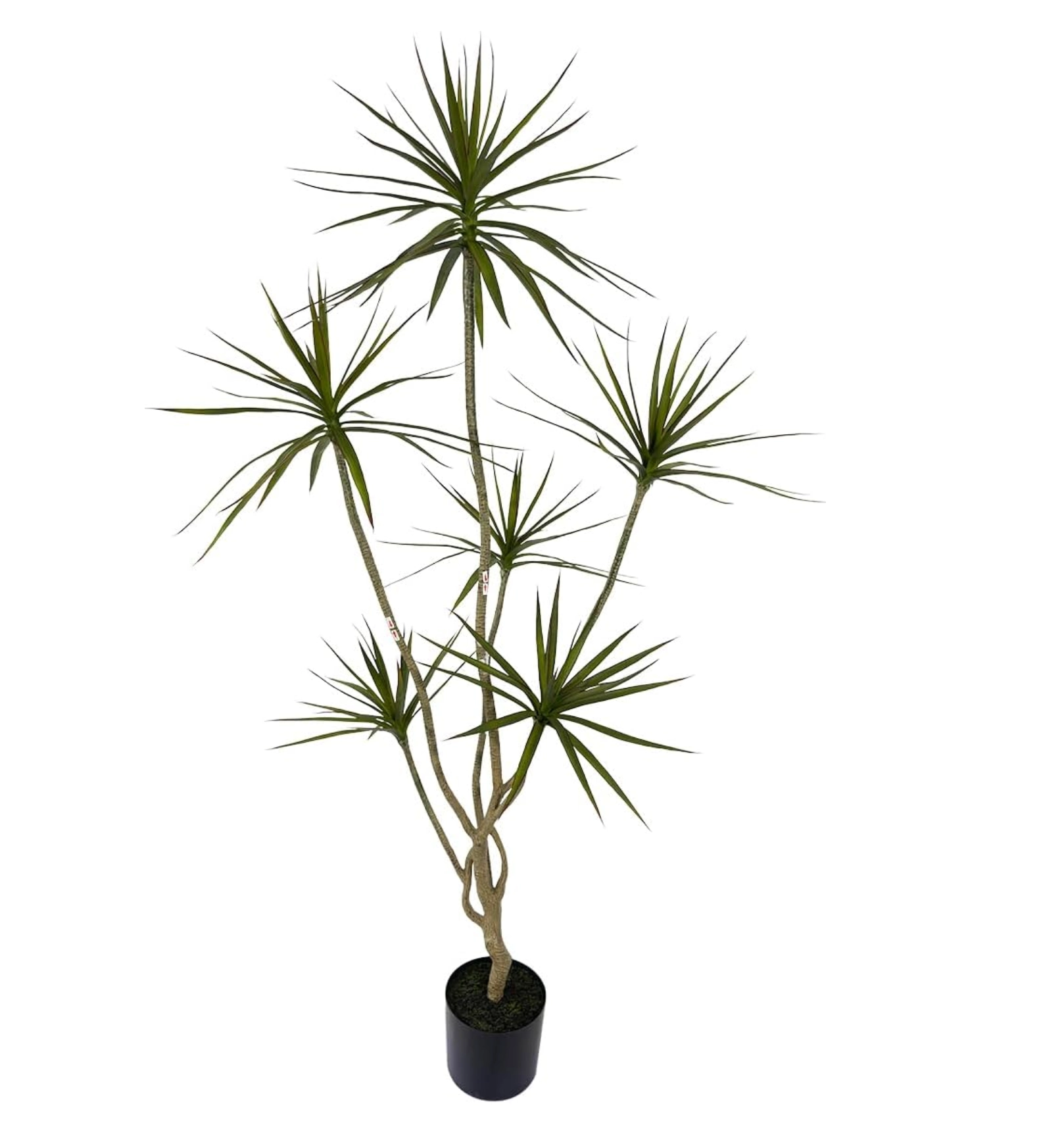 Artificial Dracaena