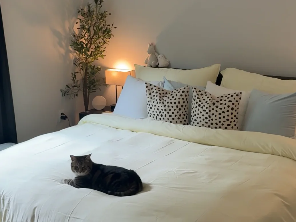 AMAZON BEDDING