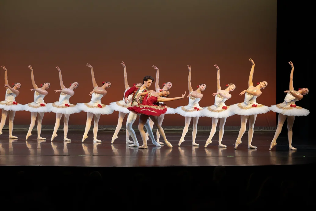 Professional Division: Studio Company