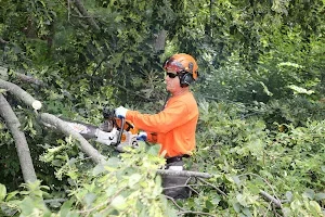 Riviera Beach to Tree Care Enterprises-Lake Geneva