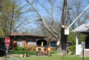 Geneva Lake Museum to Tree Care Enterprises-Lake Geneva
