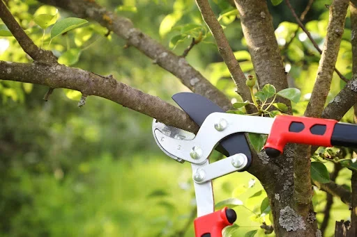 Flat Iron Park to Tree Care Enterprises-Lake Geneva